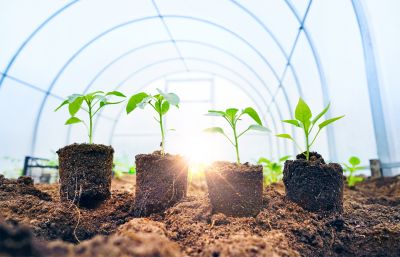 Greenhouse Service detail