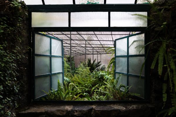 Greenhouse Renovation