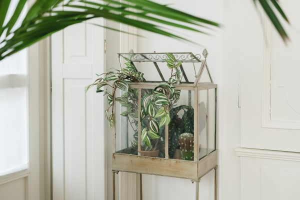 Greenhouse Construction