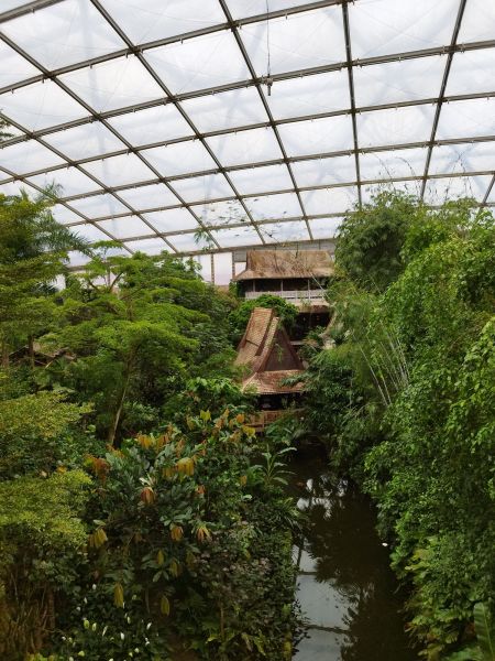 Greenhouse Construction